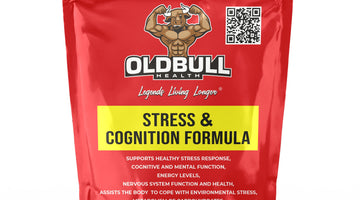 NEW Stress & Cognition Formula
