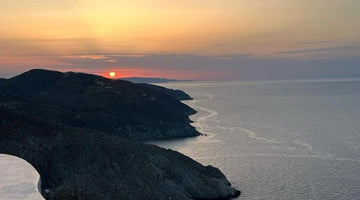 Greek Island Donkey