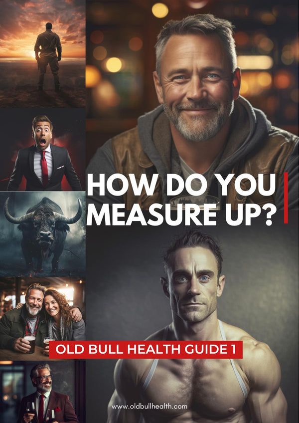 HOW DO YOU MEASURE UP - DOWNLOAD